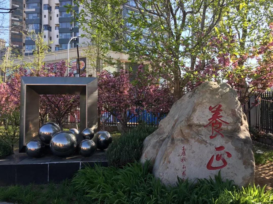 辽宁附属高级中学,辽宁师范大学附属中学2017