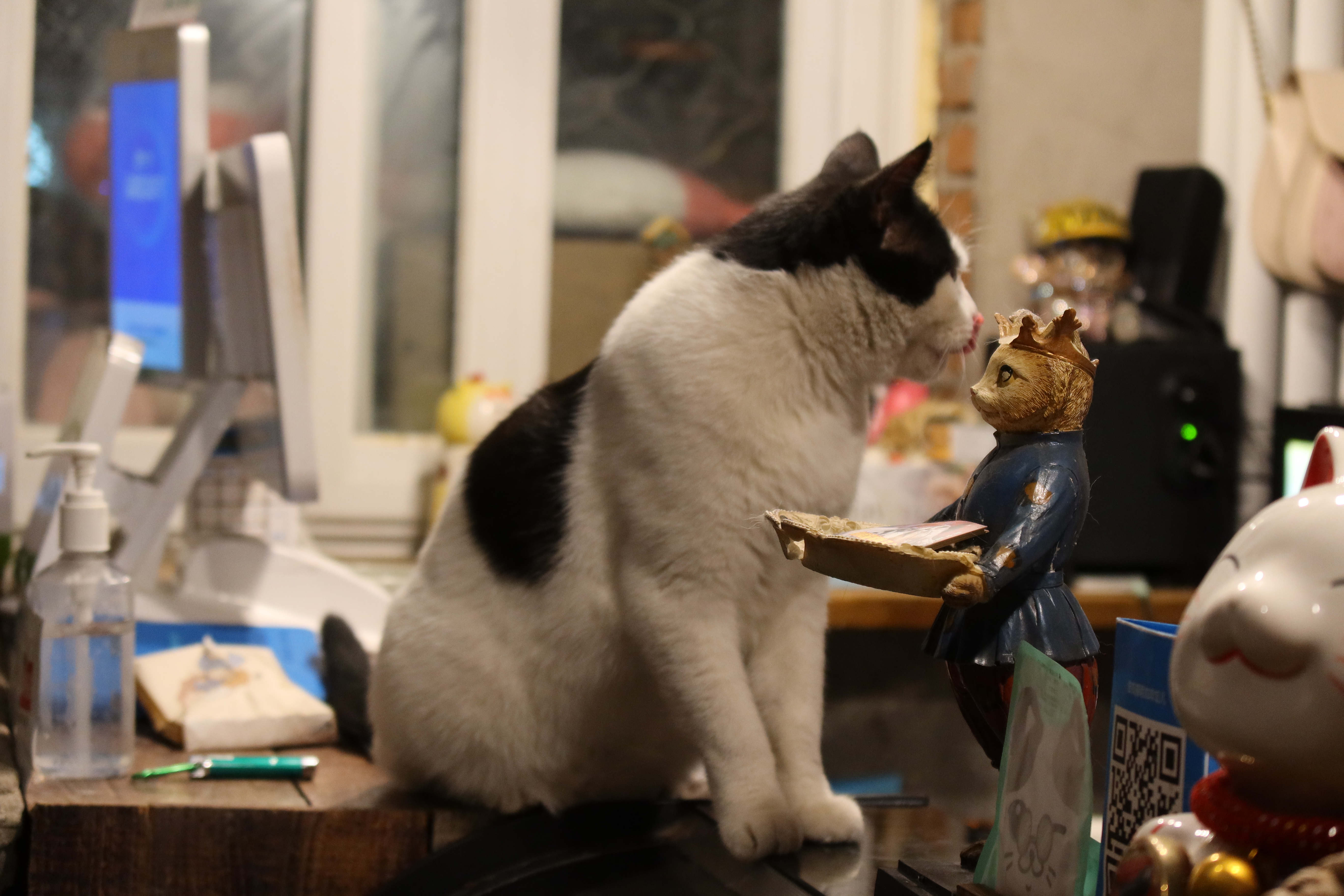 佳能g5x2全新,佳能g5xii系列