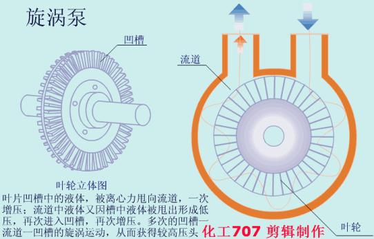 秒懂系列合集,秒懂的十大瞬间
