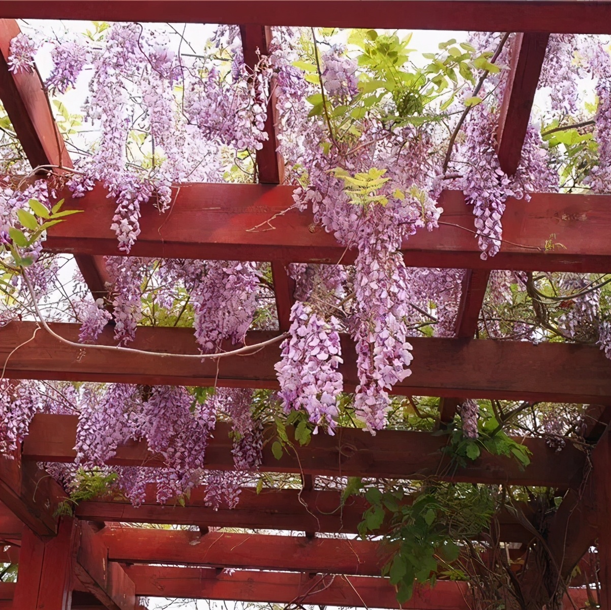 北京所有小学排名一览表,北京30所小学排名一览表