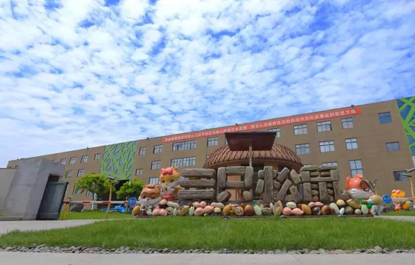 三只松鼠国民零食如何发展,三只松鼠是如何成为零食大佬