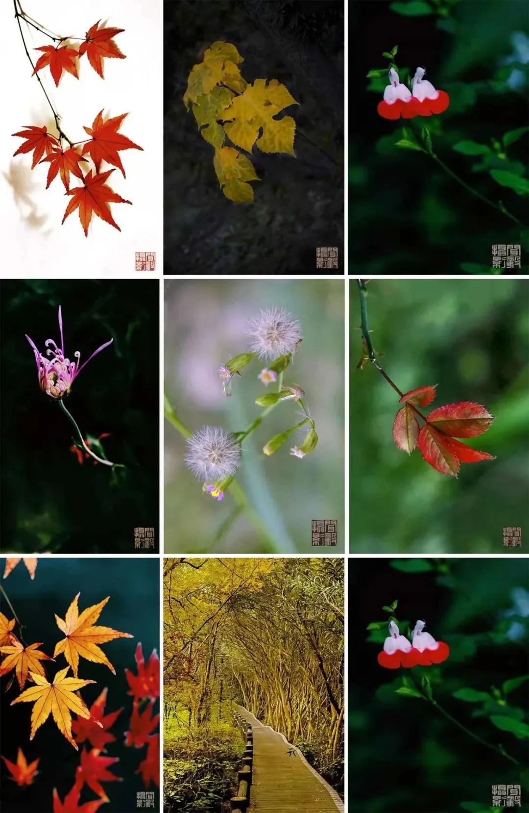 第二届中国摄影作品展,每周摄影作品展第二期