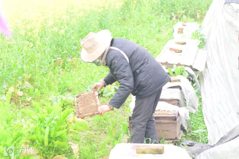 300套轻奢别墅设计,400套极简风格别墅
