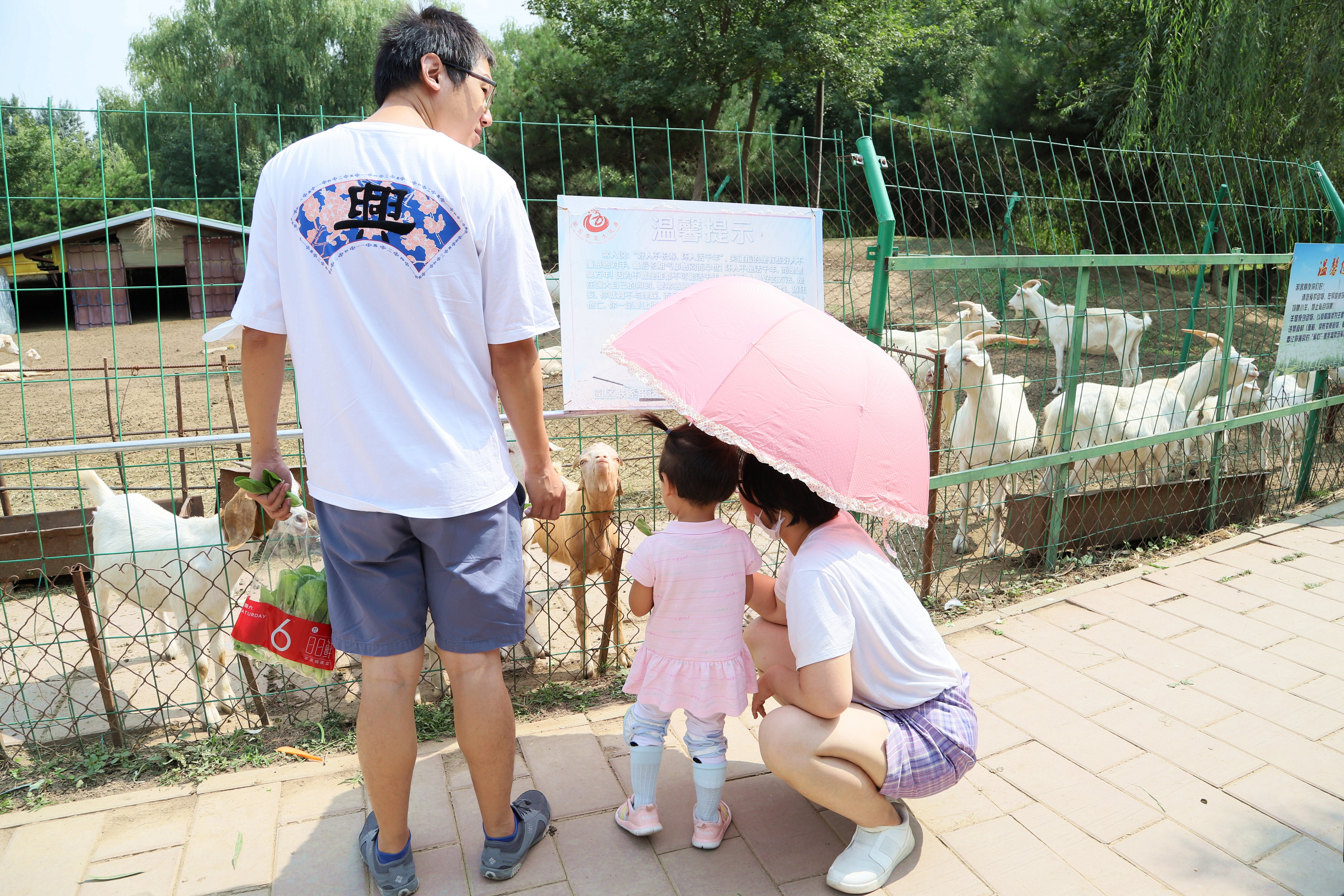 在心灵的栖息地遇见第五季