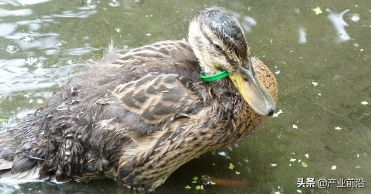 塑料把手发粘如何处理,塑料应该怎么处理