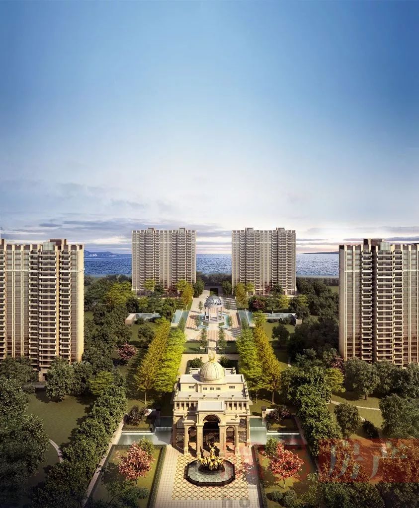 上海金山未来发展,上海的金山农村什么样