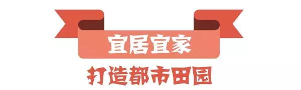 致敬青春改革开放40年,致敬改革开放40年民营企业