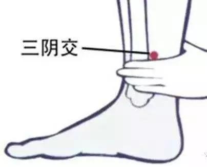 女性脾胃虚弱气血不足怎么调理,更年期女性气血不足怎么调理