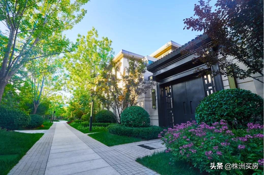 @株洲人：开门见山，推窗听湖，如此生活！（文内暗藏福利）