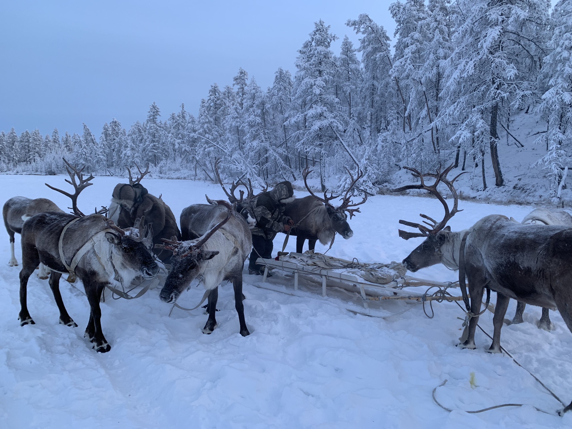 世界“最冷”的村庄,零下67度全球最冷的村庄