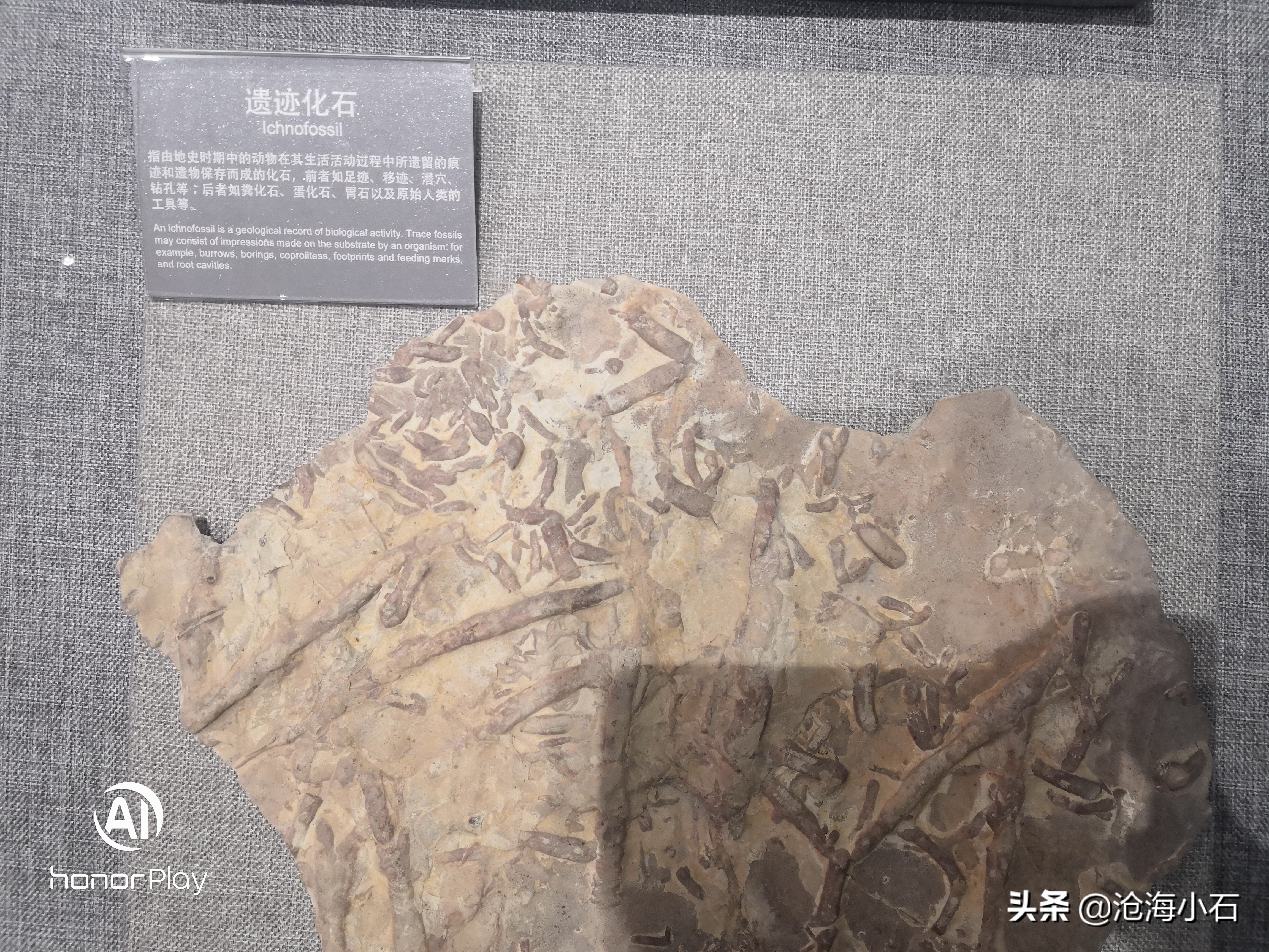 有哪些石头不要扔,十种不能捡的石头图片