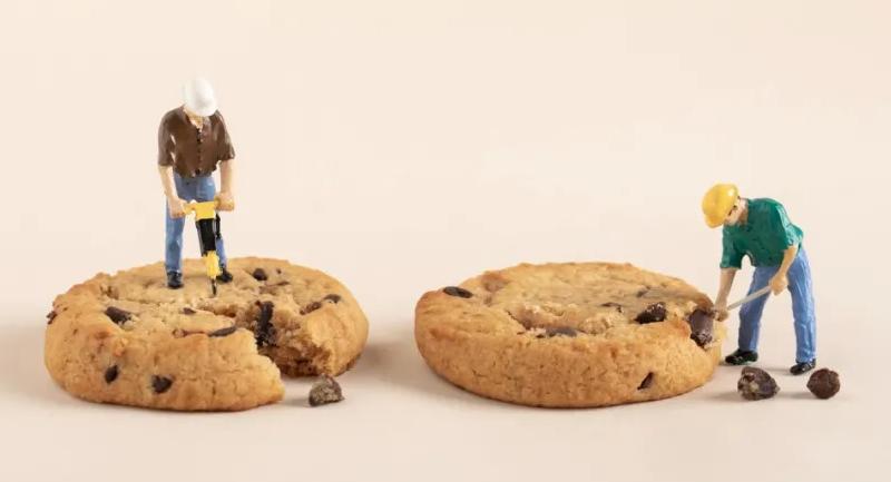 脂老虎减肥饼干的真相,常见的四种口味的饼干