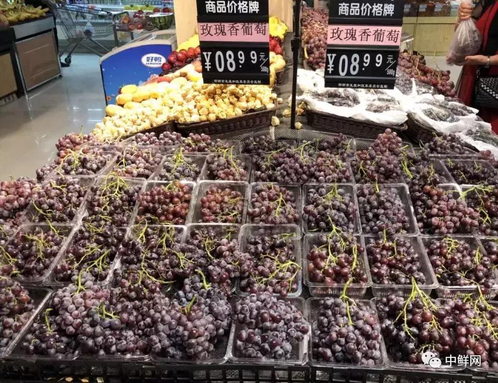 水果生飞虫难治？防治果蝇的实用方法