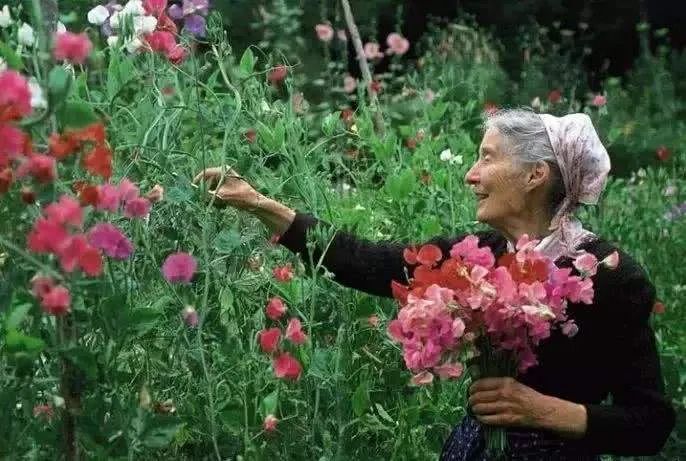 欧文亚隆精神分析,欧文亚隆的心灵治疗纪录片