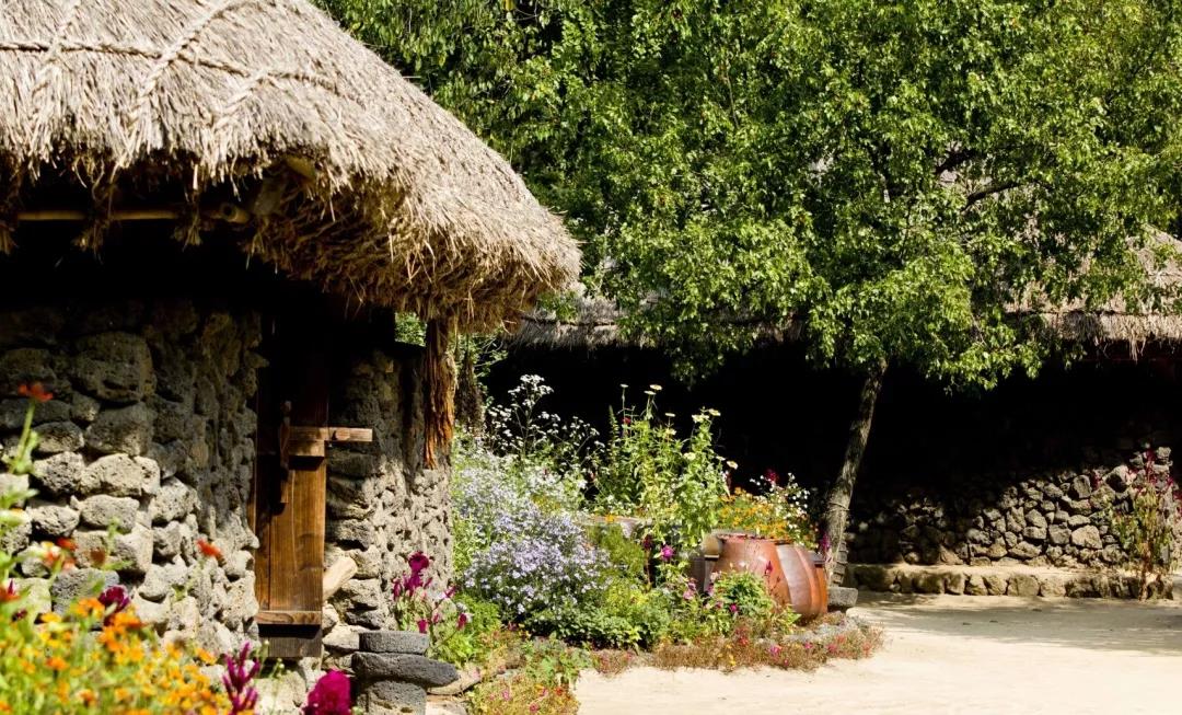 韩国超强打卡美食推荐,韩国必打卡的网红