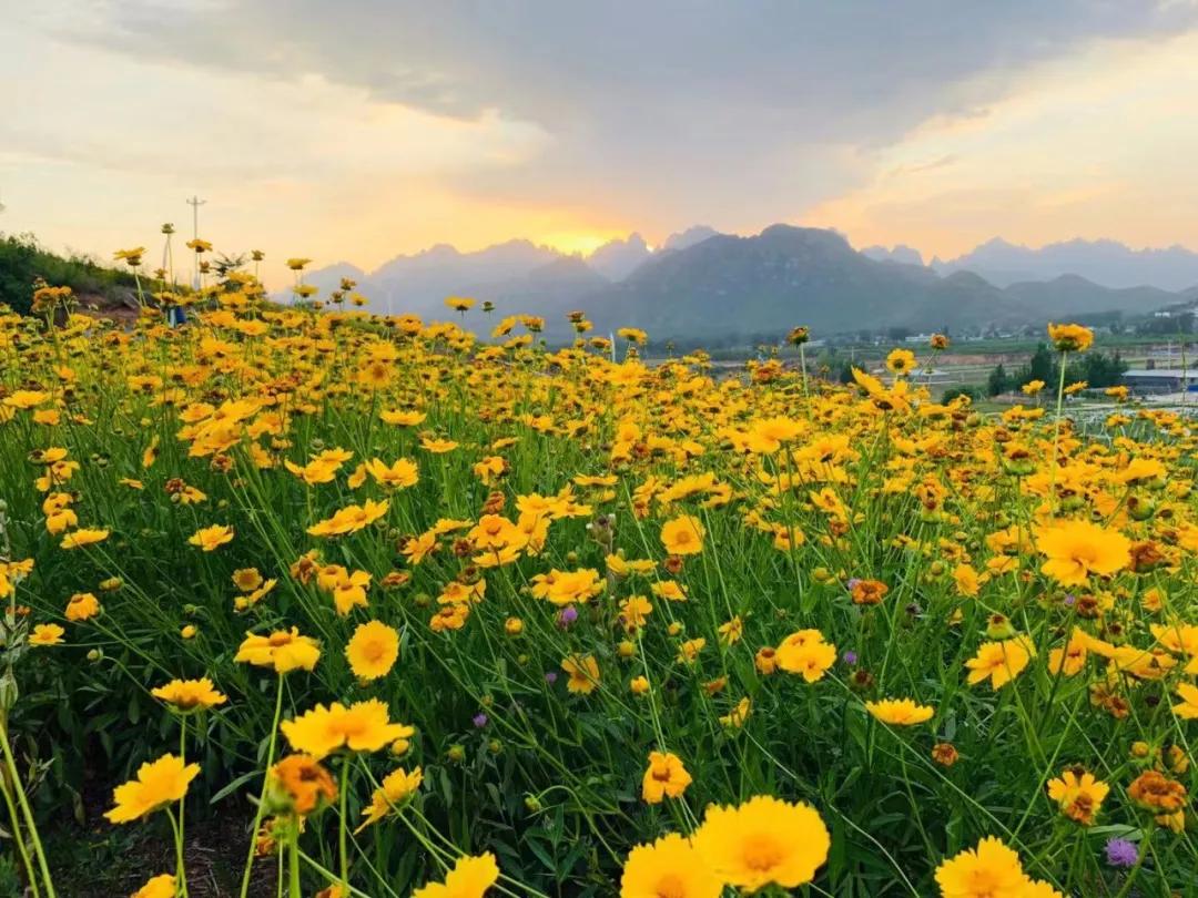 comeonbaby翻译,comeonbaby歌曲女声