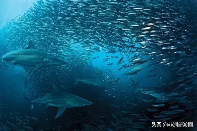 非洲最美自驾线路一生必去一次