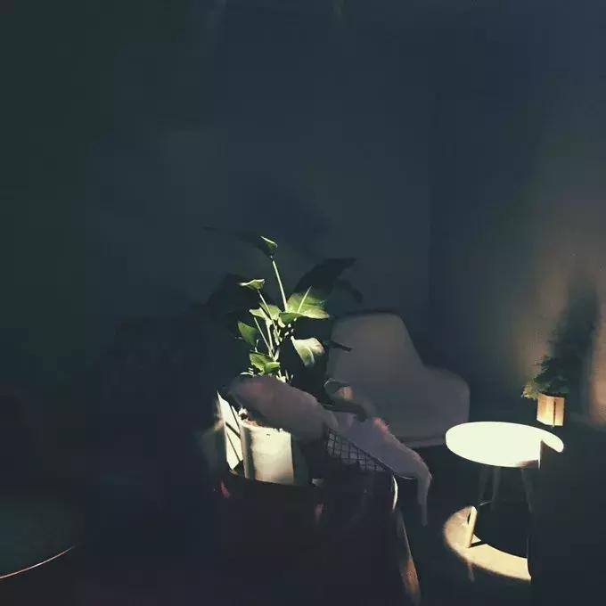 大理古城最出名的十大酒吧,了解一下云南大理古城最嗨酒吧