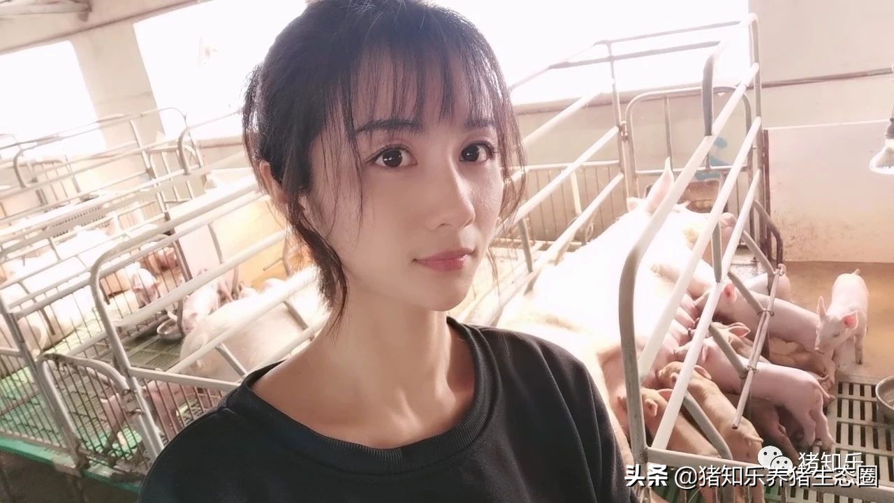 从控制的角度认识非瘟，中小型猪场非洲猪瘟详细对策—猪知乐转载