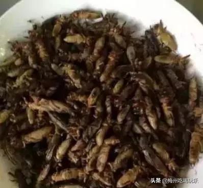 听说梅州人口味这么重，我上去就是一巴掌