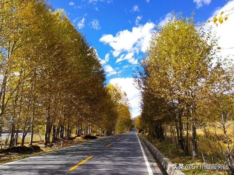 成都到香格里拉环线游路线图,成都318云南香格里拉