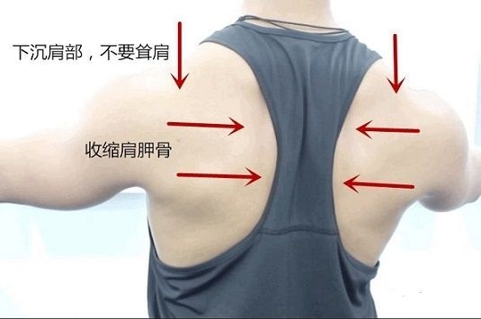 为什么卧推姿势标准肩还是会痛,卧推如何减轻肩部发力