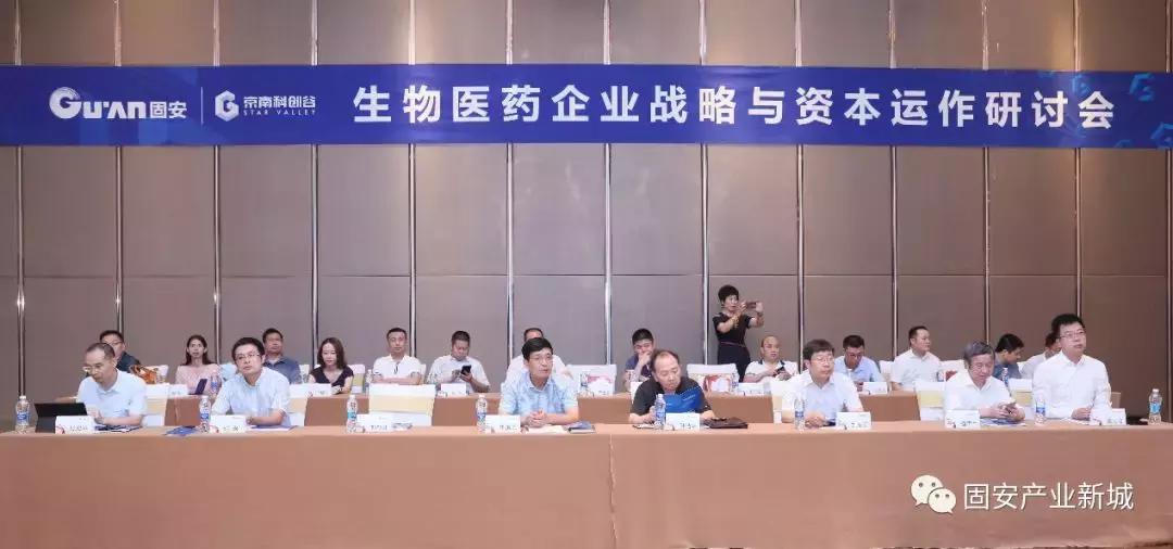 固安南规划,固安县2021年创城