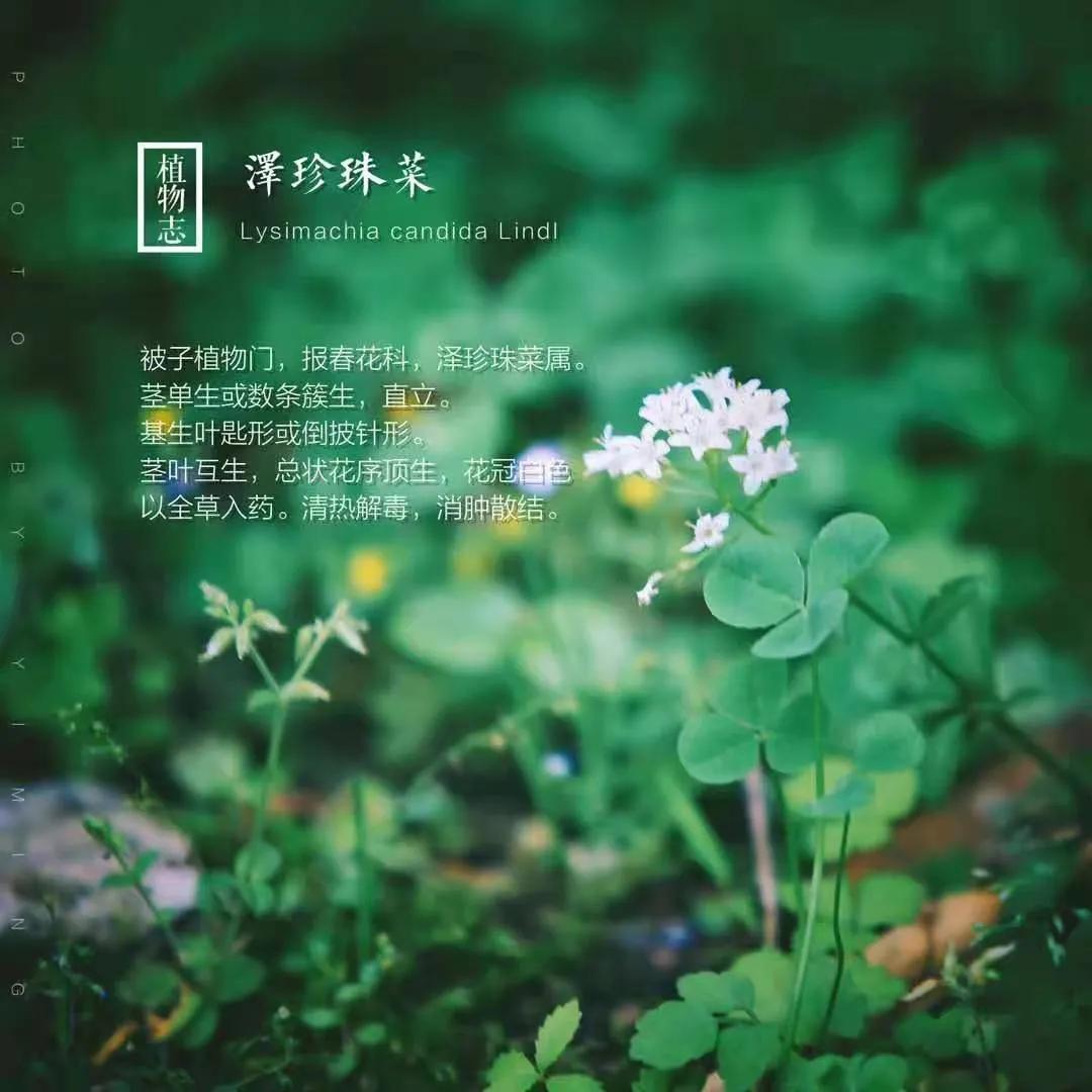 小李阿姨视频,小李阿姨生活视频