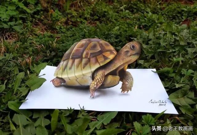 3d绘画基本常识,极其逼真的3d绘画