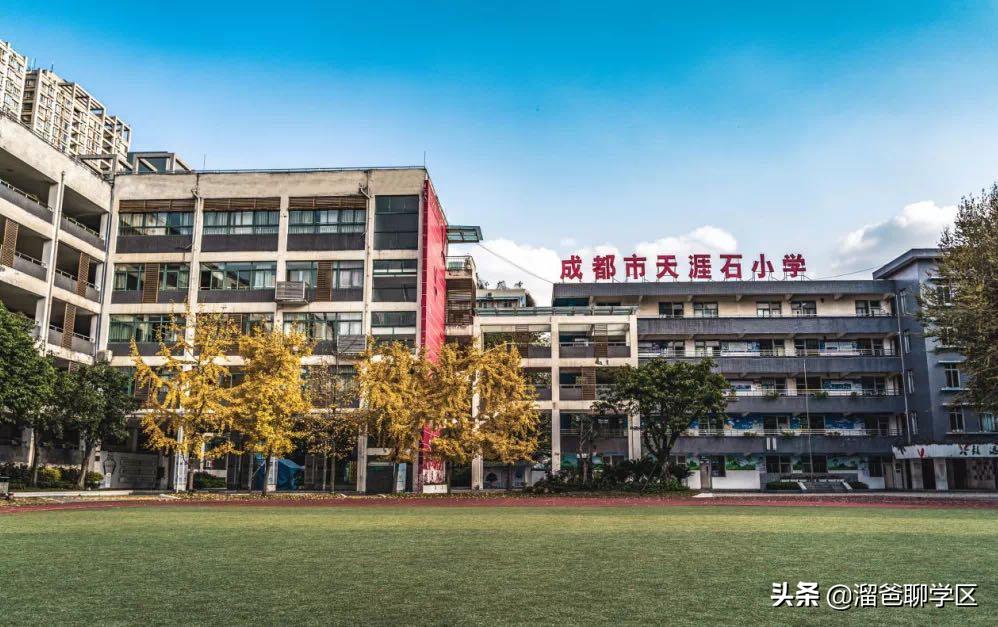 锦江四区小学推荐,锦江二片区四所小学排名
