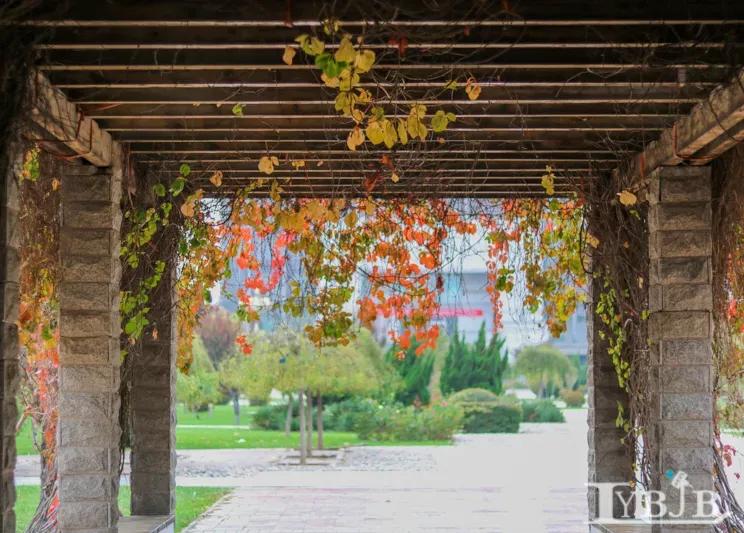 天津医科大学七所直属医院,天津医科大学独立学院是几本