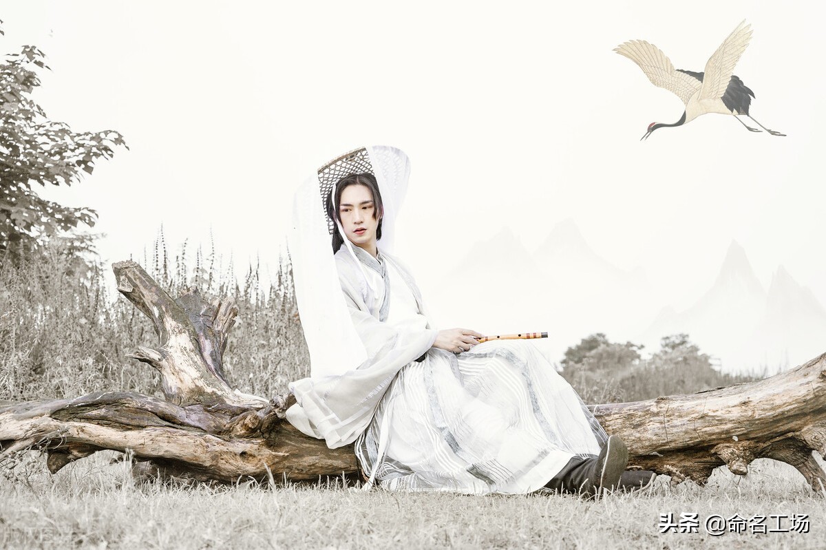 气质儒雅的男孩起名诗句,寓意前程似锦学识渊博男孩名字