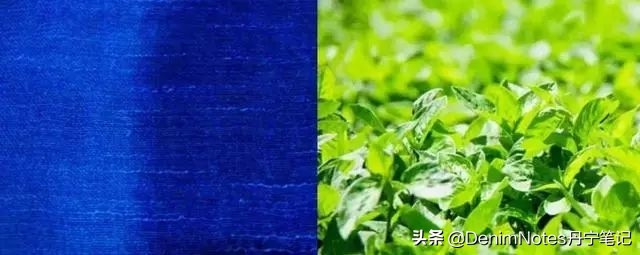 蓝染的正确方法,蓝染方法