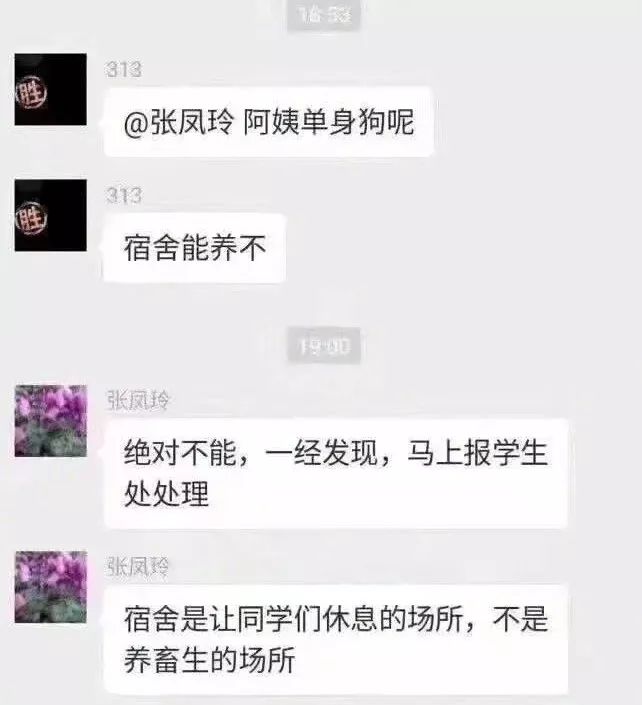 那些年舍友养过的奇葩宠物,你们身边的人都养什么奇怪的宠物