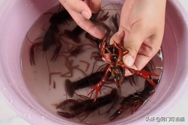 洗小龙虾夹烂手怎么处理,清理小龙虾总被夹手怎么办