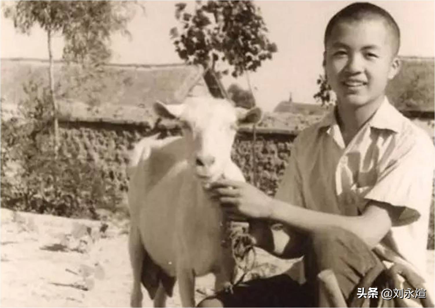 天才，诗人，暴君，与顾城