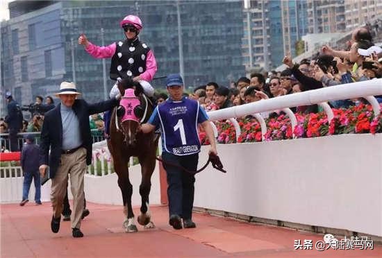 揭秘职业赛马骑师一年能赚多少钱,在马场做马蹄师收入如何