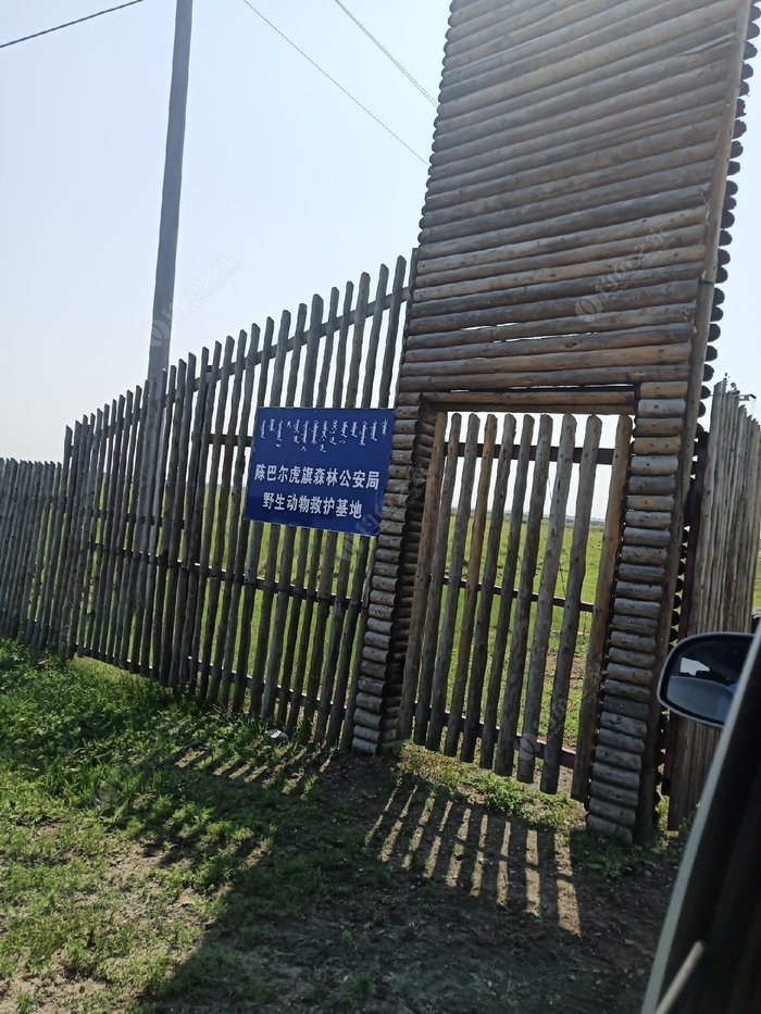 冬季海拉尔一日游攻略最新,海拉尔钓路亚的视频