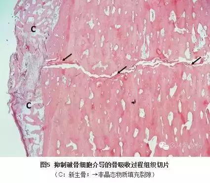 循证医学学习指导,循证医学连续病例