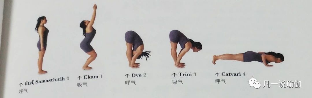 瑜伽拜日口令动作讲解,瑜伽拜日口令版零基础入门必学