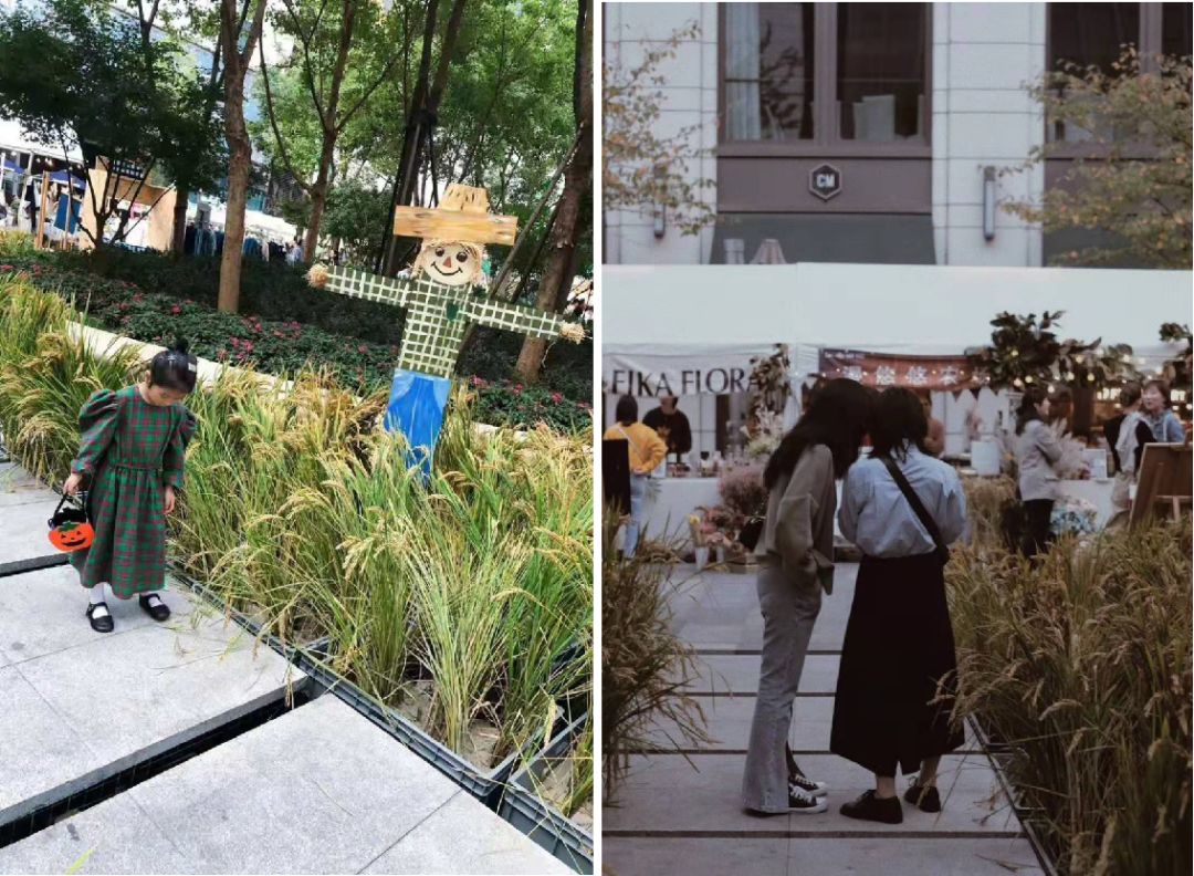 杭州嘉里中心为什么环境好,杭州嘉里中心整体介绍