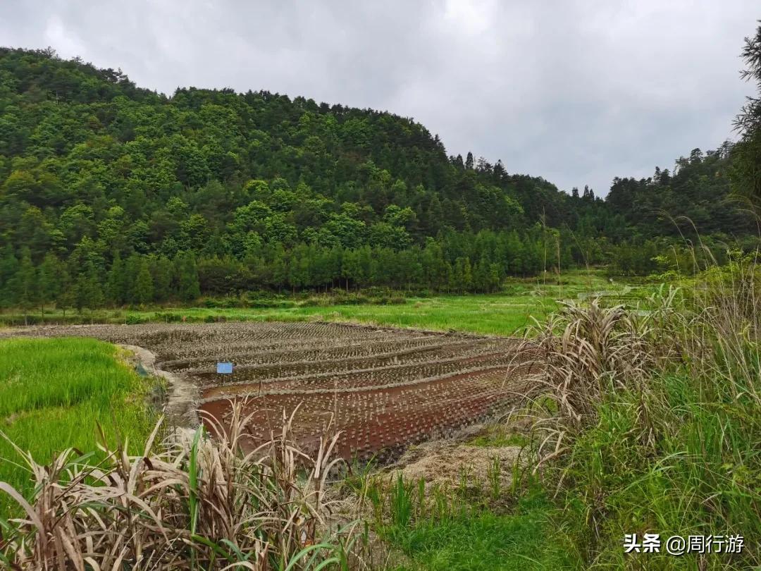 温州文成岭后烂井湖,虽繁华不再,却也有着属于它的传奇故事