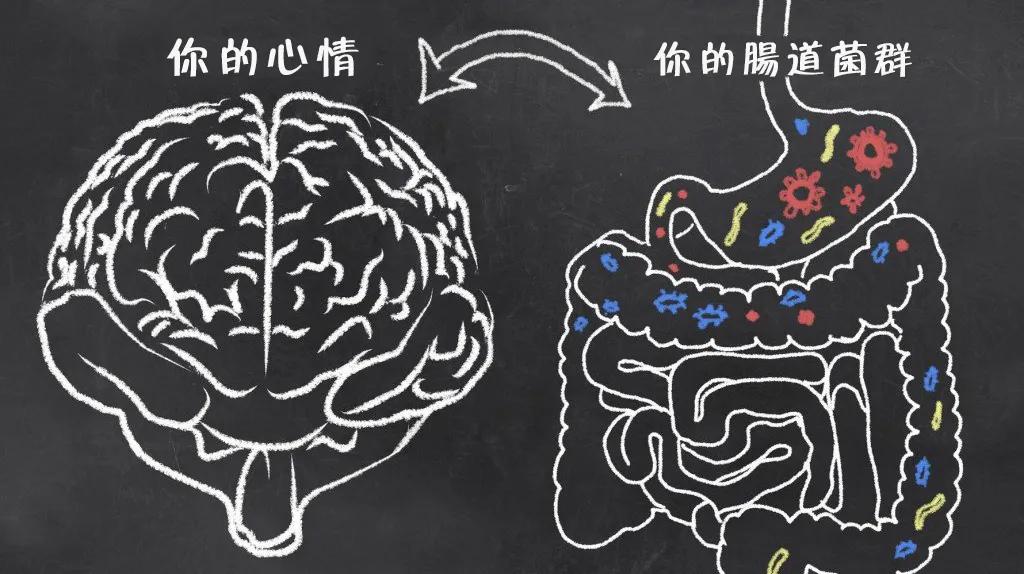 疯狂繁殖的大肠杆菌,顽固肠道细菌