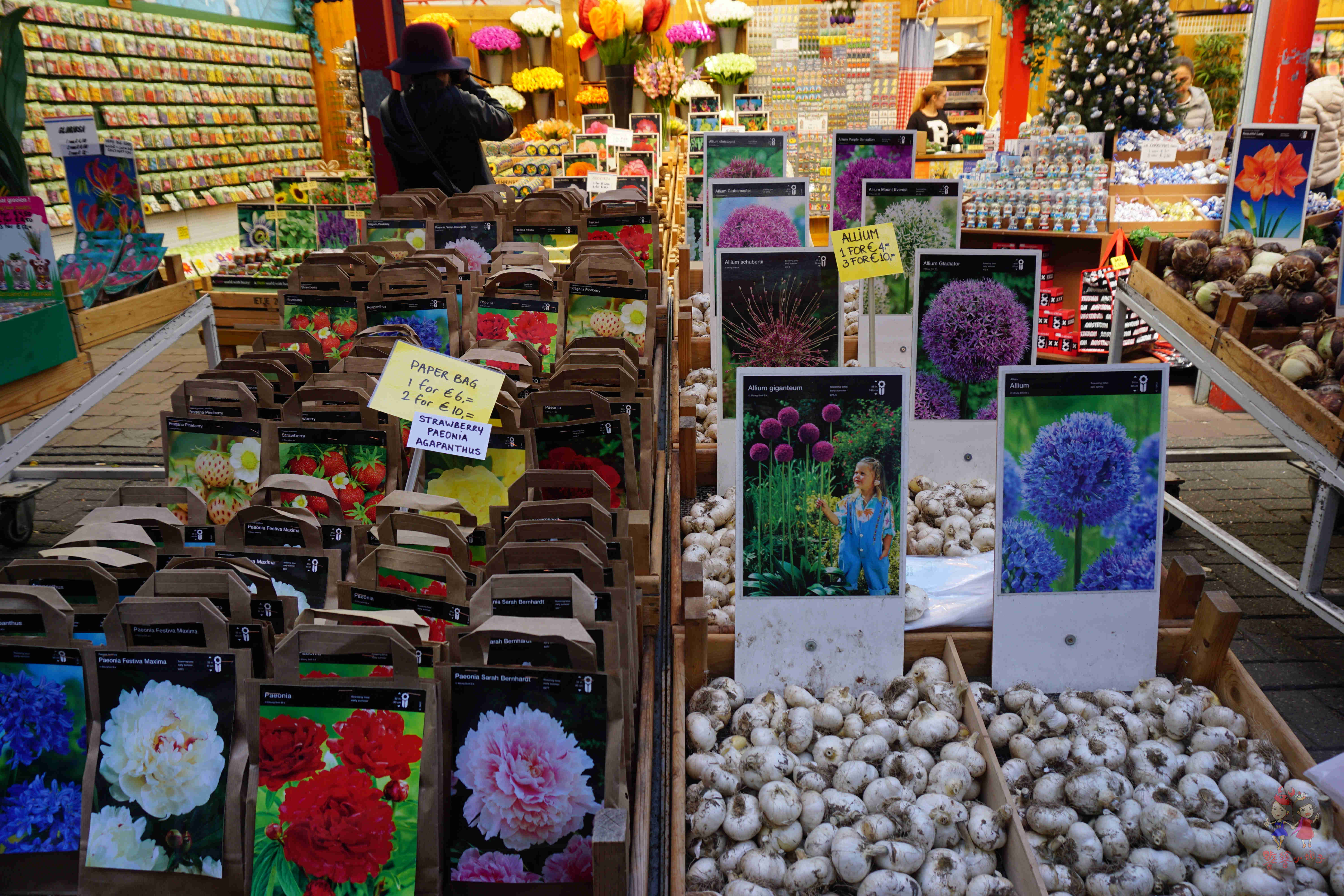 阿姆斯特丹暴走一日游,暴走阿姆斯特丹