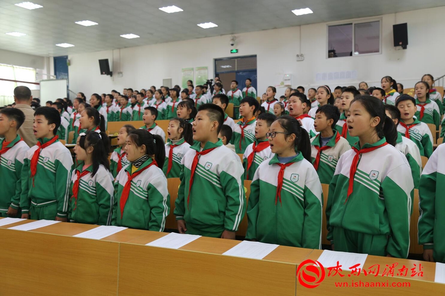 少年先锋队学校代表大会,小学少年先锋队代表大会