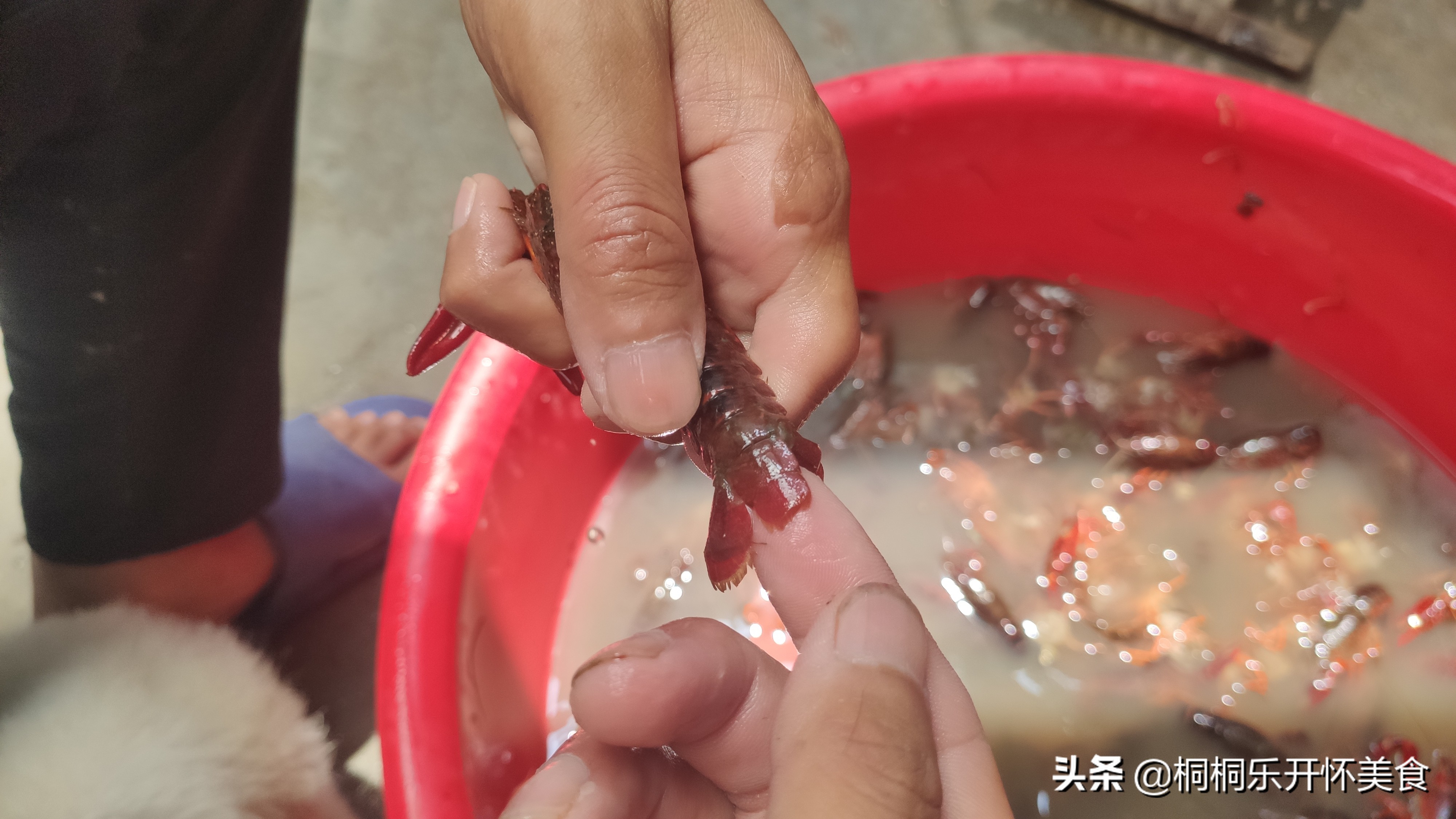 怎么样洗龙虾才洗得干净,怎样洗龙虾比较洗得干净