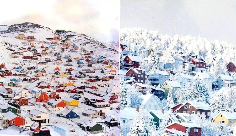 儿童画冬日街道风景,冬日里的树林儿童画