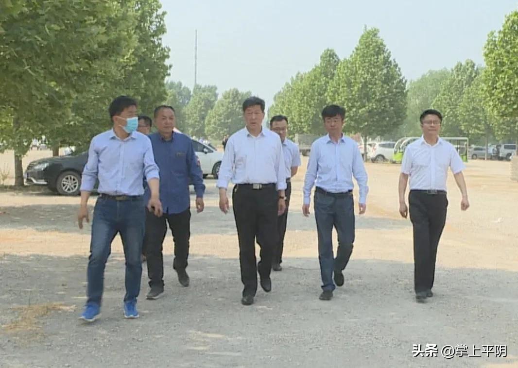 平阴新闻|节日期间安全生产、疫情防控不放松;昨日玫瑰花花冠、花蕾、大花价格