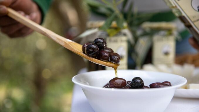 希腊最好吃的十大美食,希腊美食全集视频