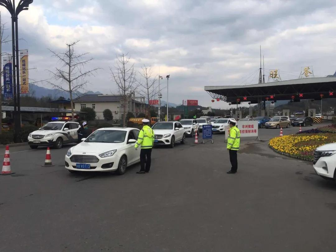 最美的人间四月天演唱视频,最美的人间四月天如约而至